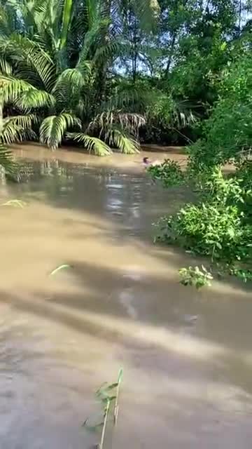 young people move too fast too dangerous