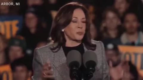 VP Harris Crowd Goes Silent In Weird Moment