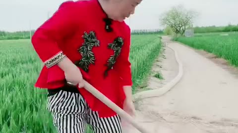 SO Funny Videos 2023, Chinese Funny clips daily