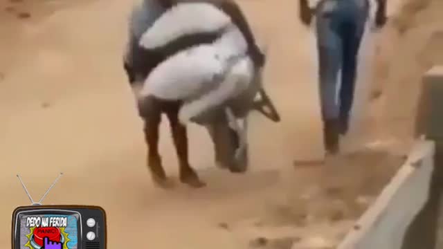 Tentando esplicar para o pétista que o L é ruim