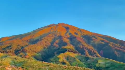 Nepal Van Java Exotic Enchantment on the Slope of Mount Sumbing