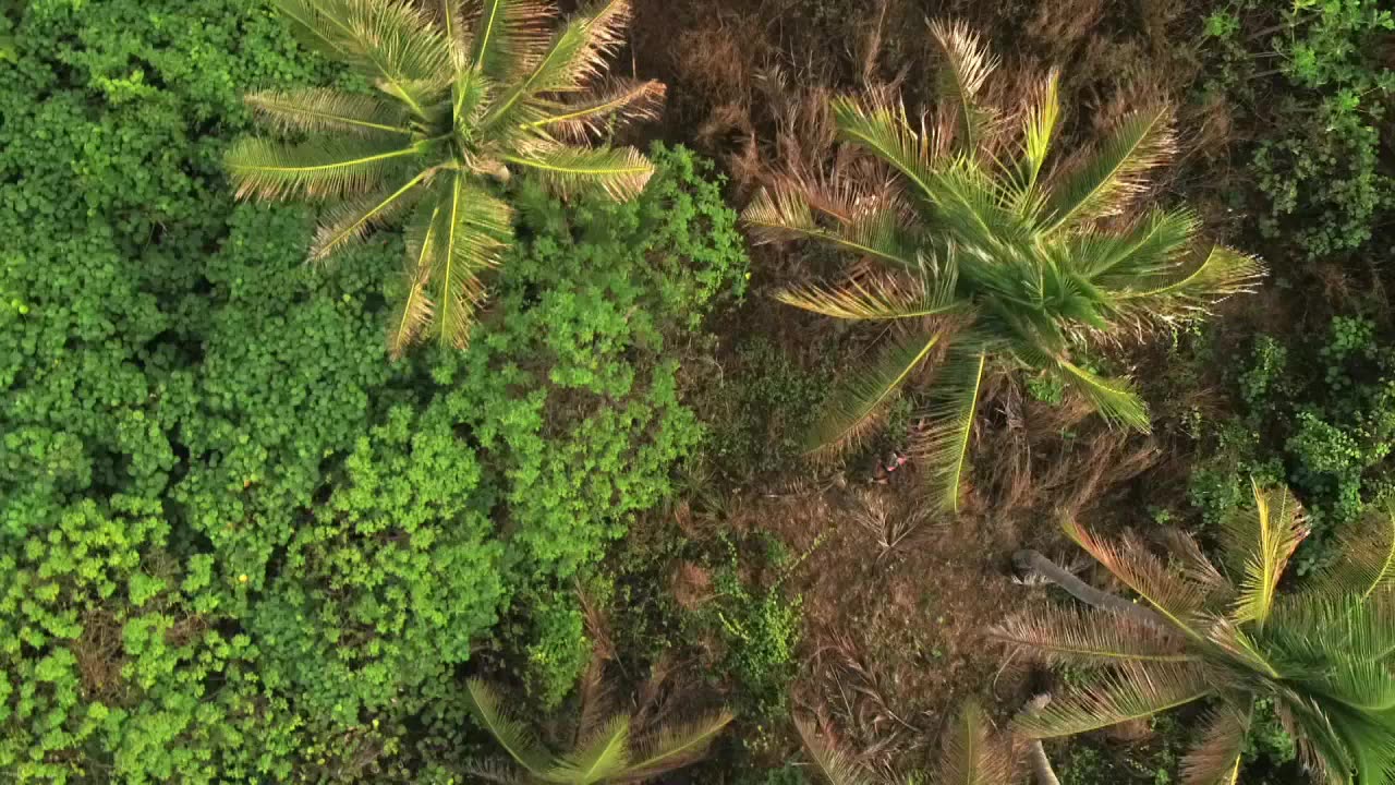 Robinson S17E16