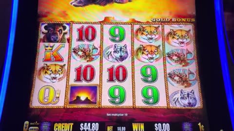 Buffalo Slot Max Bet Challenge with The Slot Master 316!