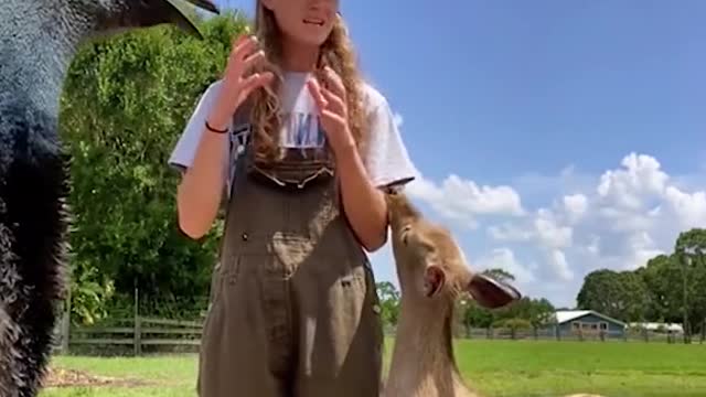 The monkey’s smile after it almost fell, so cute!