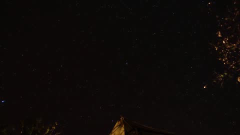 Maasai Mara Starry Night Timelapse