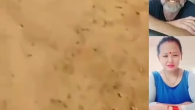 👍👍Funny Clips, Entertainment
