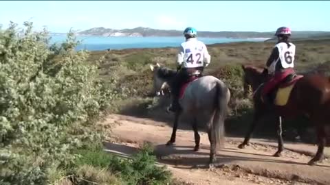 Prima gara di Endurance equestre - Santa Teresa di Gallura