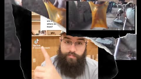 STOP FEEDING YOUR CHILDREN BUGS!