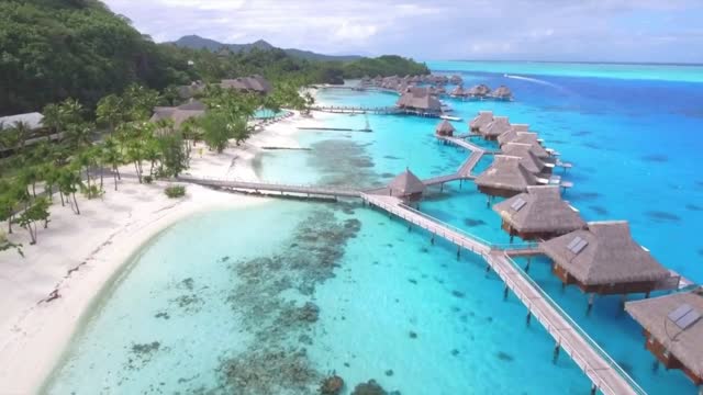 Wreath of phantom archipelagos, shadows of coconut palm trees, blue sea and blue sky