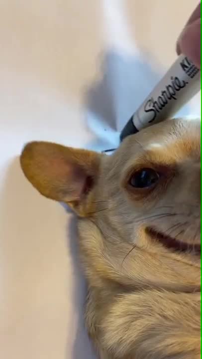 “Draw me like one of your French girls!!”