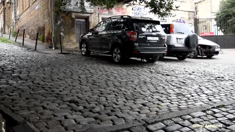 Two beautiful cats are offered food in the middle of the street. They are scared