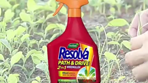 Some information about Resolva Path & and Drive Weed Killer