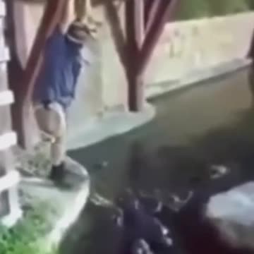 When You Lie on your Resume | Smooth Operator