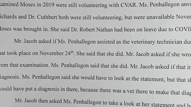 April 23rd 2021 Center Valley Animal Rescue Sara Deposition