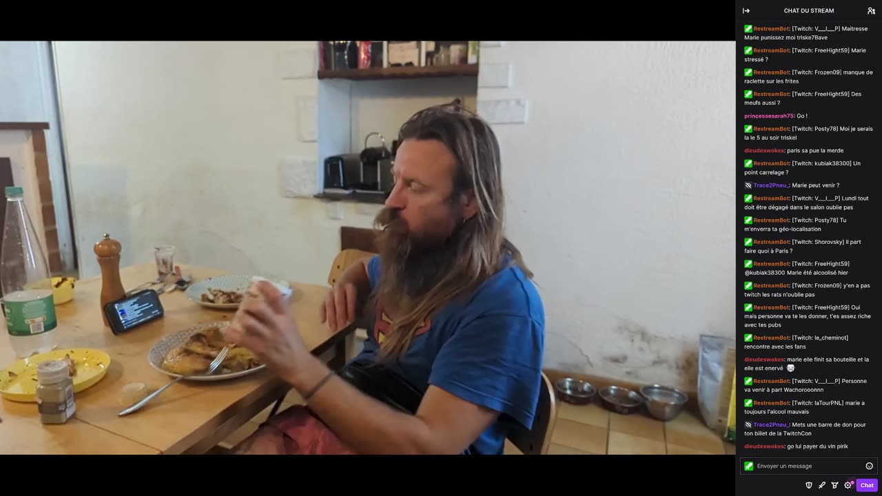 2023-06-30 (2bis.1) - Que veut ce chat . - Twitch Meutemediatique + Decheterie (avec chat)