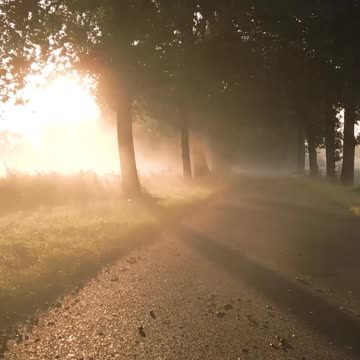 Overflowing Joy - Psalm 149