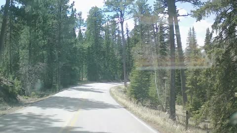 Needles Hwy