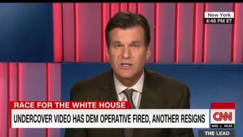 Democratic operatives