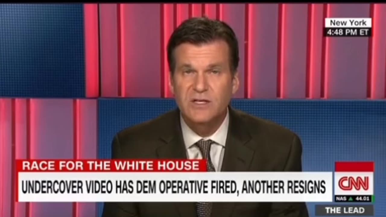 Democratic operatives