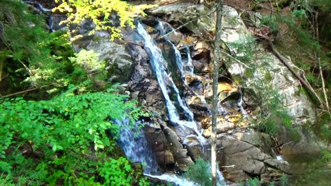 Cascades