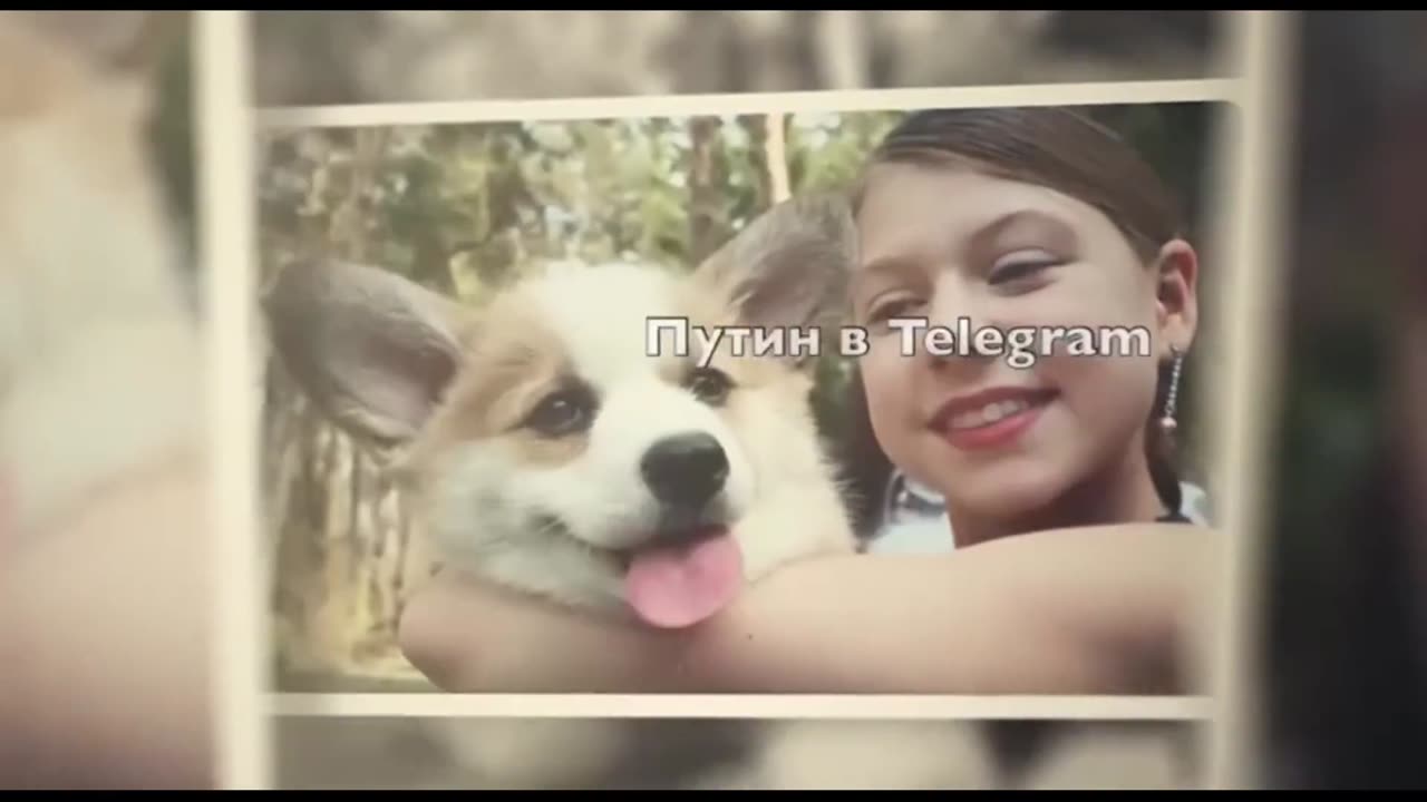 Well, now the good news. A Puppy tale
