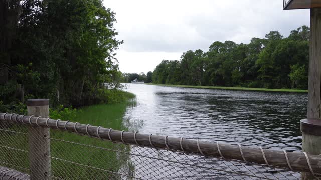 Hanging Out By the Pool, Walking Around Seven Seas Lagoon | Wilderness Lodge Family Trip July 2021