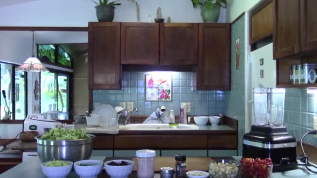 HOW TO STAY RAW DURING THE HOLIDAYS ~ HAPPY THANKSGIVING! - Nov 24th 2016