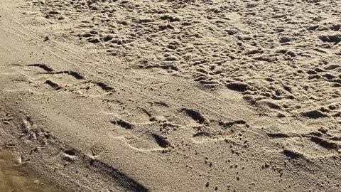 6/19 - Praia do Fayet: O destino perfeito para relaxar em Governador Celso Ramos