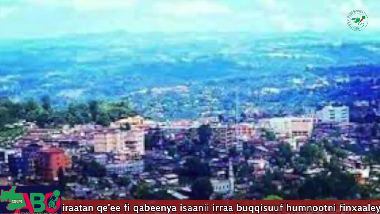 Qophii Arraata Biyyoolessa Oromiyaa Fulbaana 1, 2023