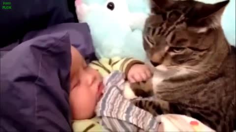 Best Funny Babies and Animals Compilation