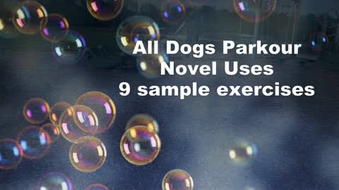 All Dogs Parkour - Star doing Novel Uses, 9 sample exercises