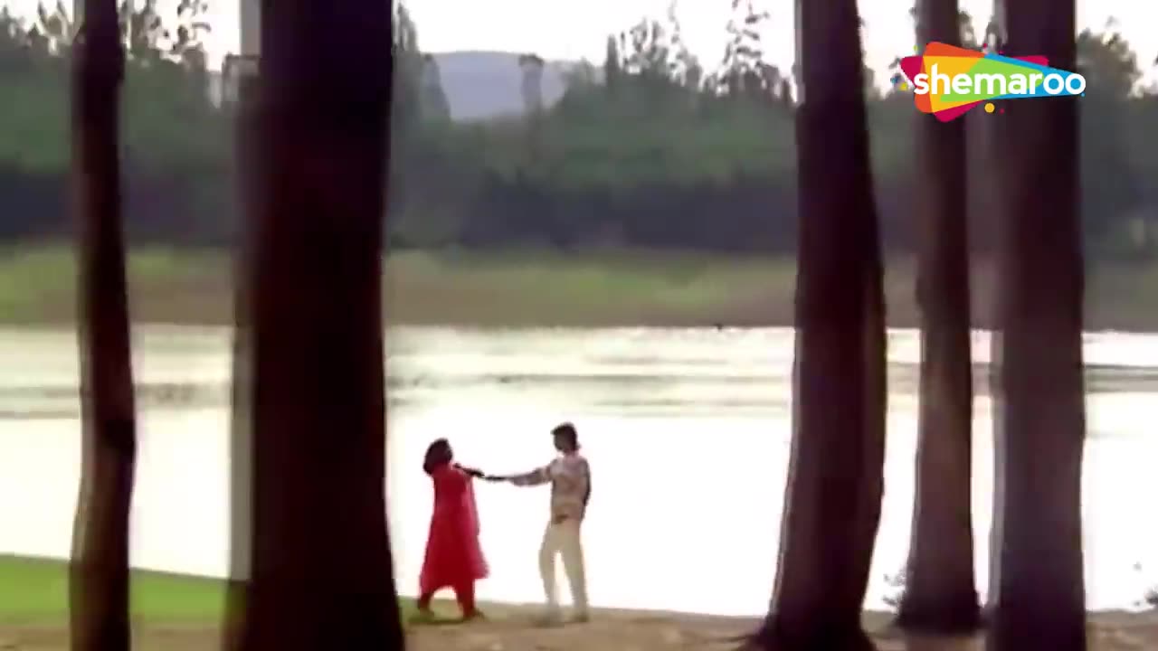 Chori Chori Dil Tera Churayenge _ Mithun _ Shantipriya _ Phool Aur Angaar (1993) _ 90s Romantic Song