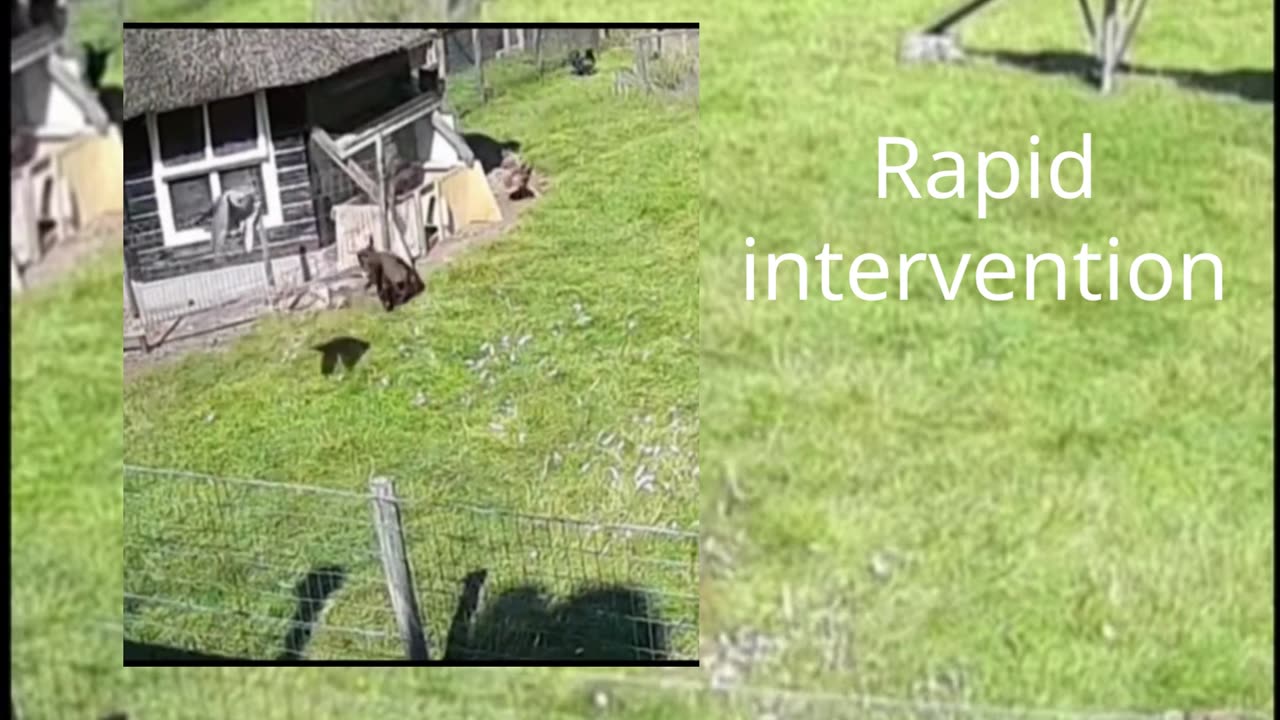 Rapid intervention