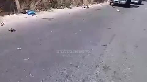 Killing of two Hezbollah terrorists riding a motorcycle in southern Lebanon