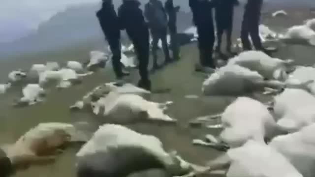 June 22, 2022 📖 Biblical Times⏳