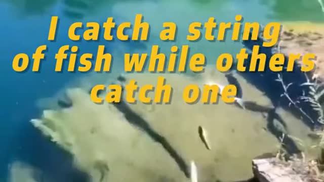 I catch a string of fish while others catch one