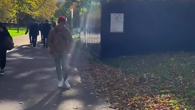 Remember in a sunny afternoon, walking on the way to the classroom