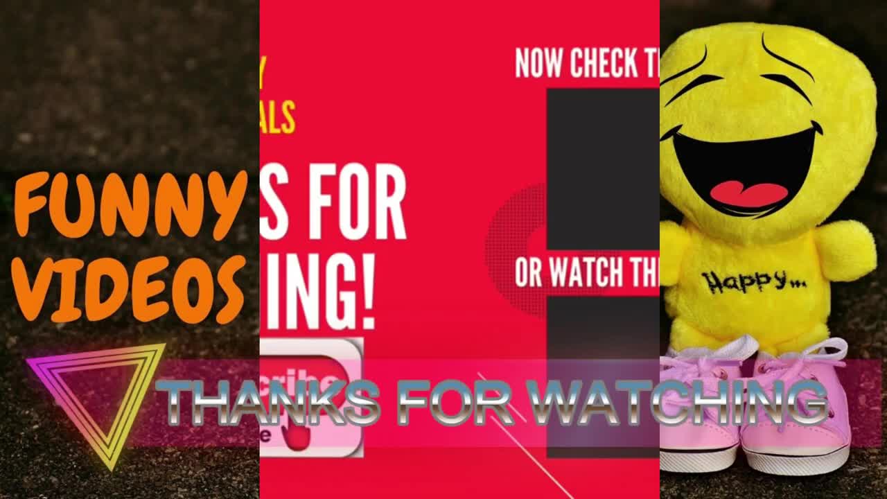 Funny Animals With Toys