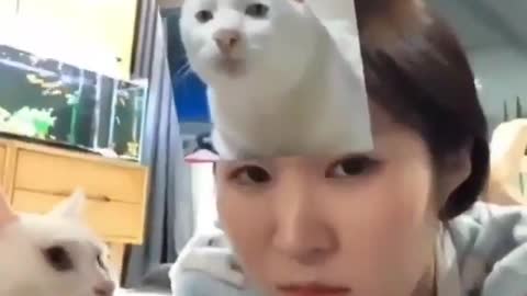 Funny cat reaction 😂