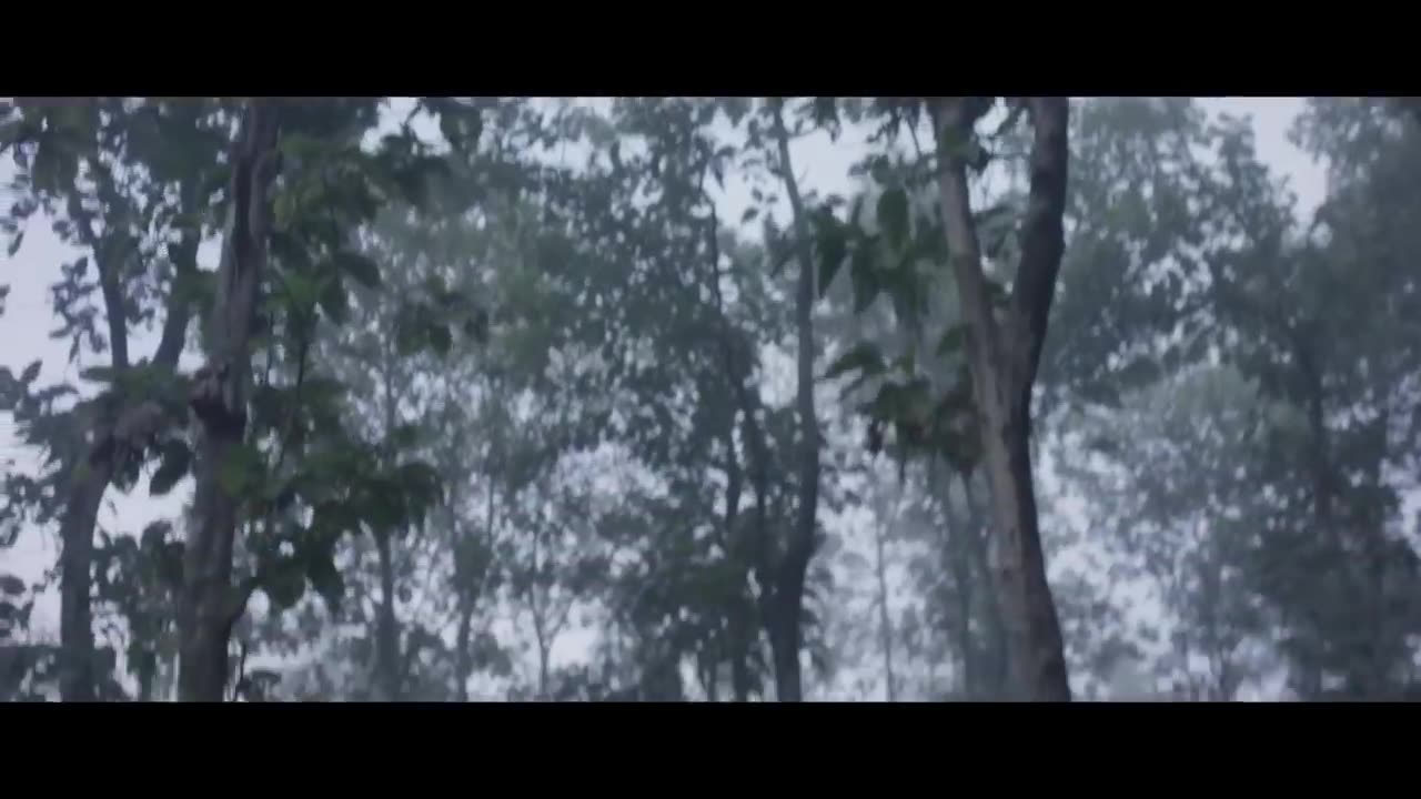 The movie "Behind The Trees" trailer