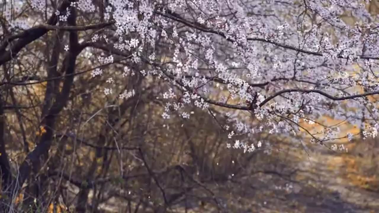 Українські християнські пісні