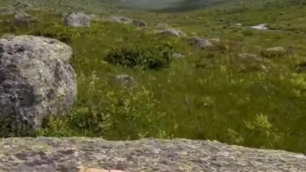 Natural video travel to the world