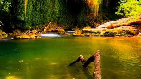 Relaxing Nature and relaxing Music || Nature Discovery........#nature #relax #relaxing #shortvideo