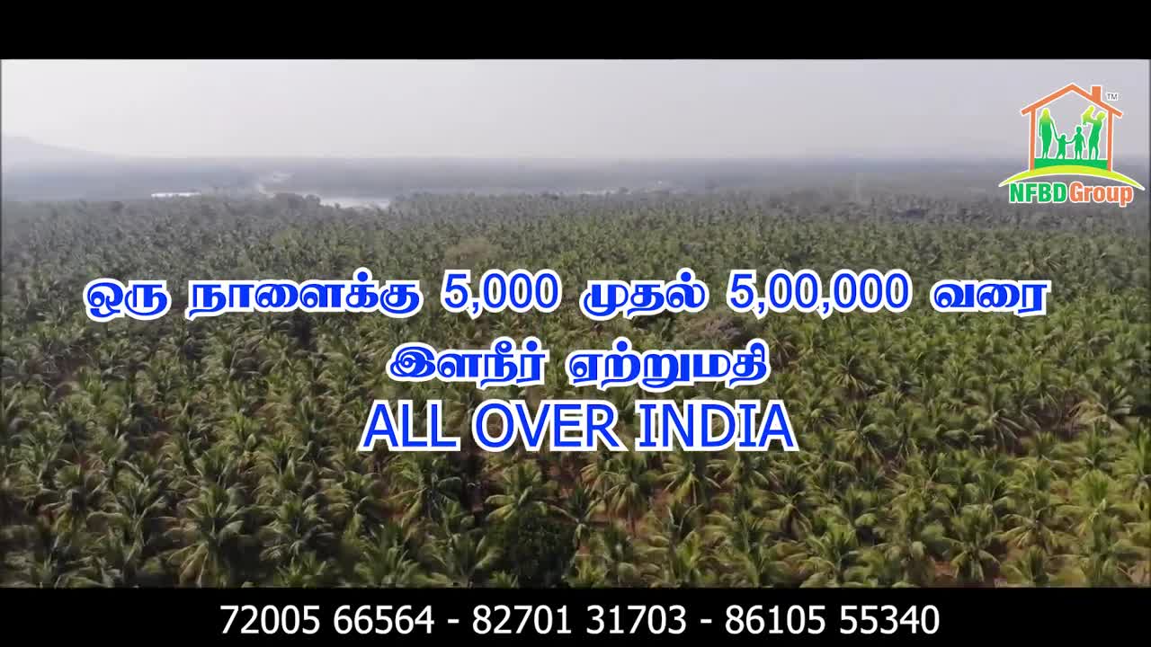 Tender Coconut Export In All Over India | #pollachi #tendercoconut #india