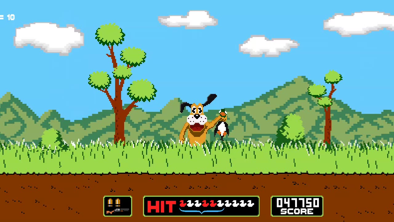 Duck Hunter Game