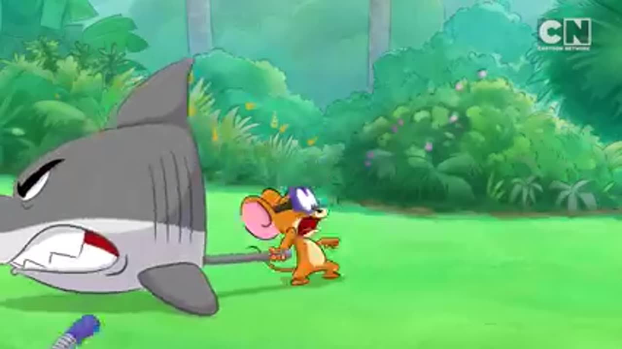 COMPILATION: Tom and Jerry Singapore Full Episodes (1-4) | Cartoon Network Asia