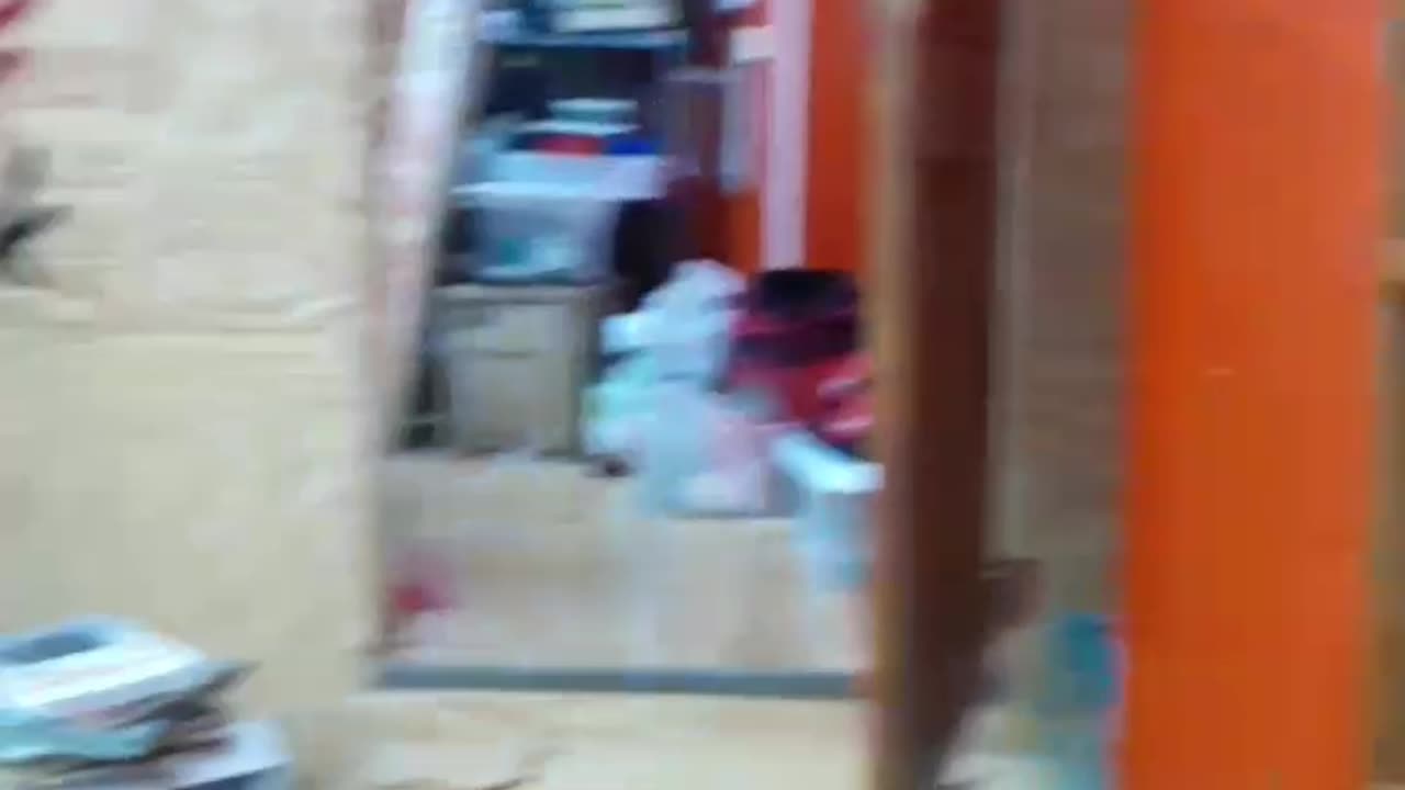 Part 13. Animal Figurines On Cabinet