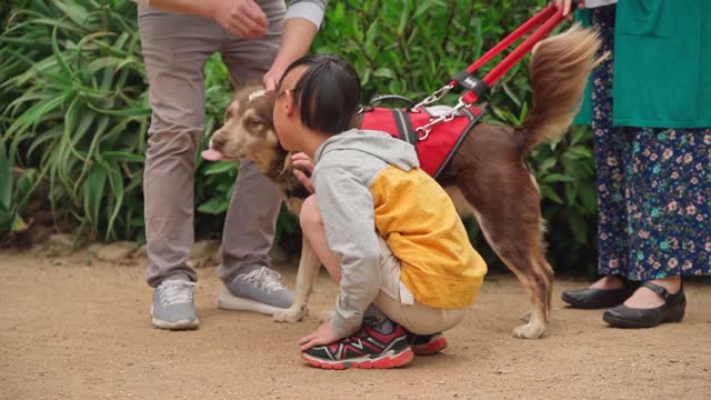 Beautiful baby and Dog comedy videos 😅 #baby #Dog #Comedy