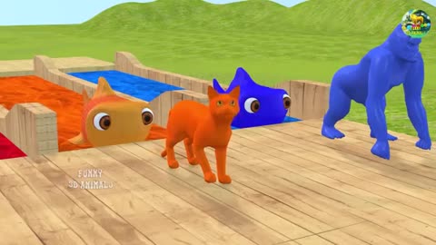 Animals
