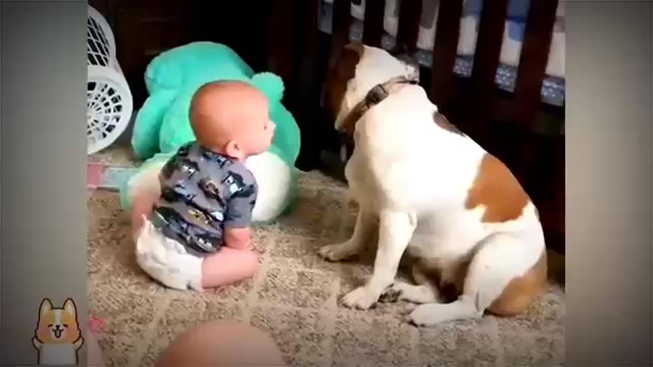 Beautiful_video_of_Cute_Babies_and_Pets_-_Funny_Baby_and_Pet